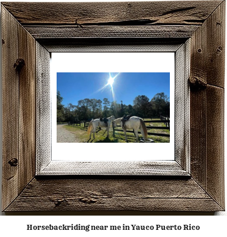 horseback riding near me in Yauco, Puerto Rico